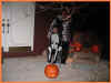 Halloween2005b.JPG (22175 bytes)